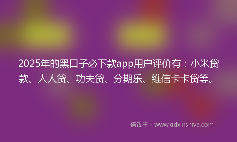 2025年的黑口子必下款app用户评价有：小米贷款、人人贷、功夫贷、分期乐、维信卡卡贷等。