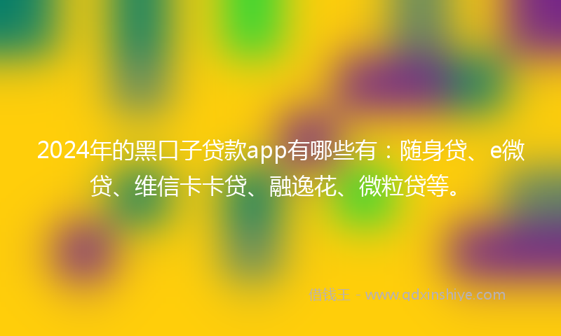 2024年的黑口子贷款app有哪些有：随身贷、e微贷、维信卡卡贷、融逸花、微粒贷等。
