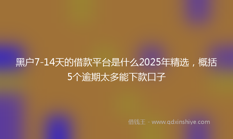 黑户7-14天的借款平台是什么2025年精选，概括5个逾期太多能下款口子