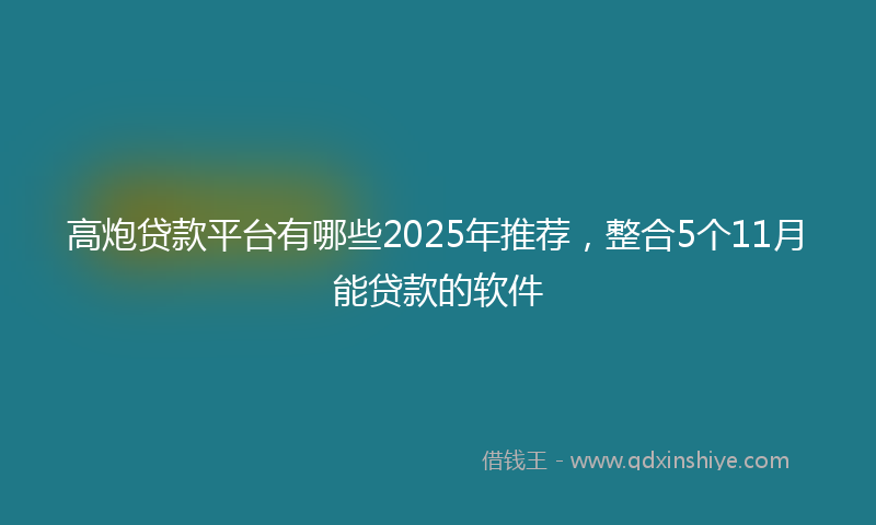 高炮贷款平台有哪些2025年推荐，整合5个11月能贷款的软件