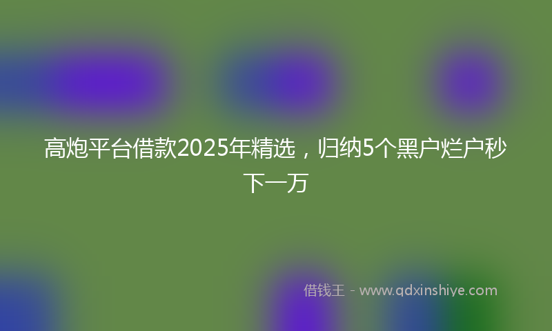 高炮平台借款2025年精选，归纳5个黑户烂户秒下一万