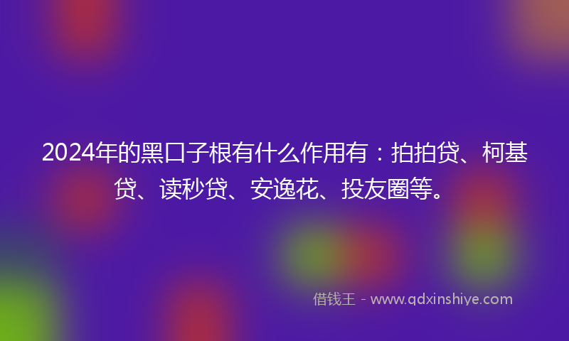 2024年的黑口子根有什么作用有：拍拍贷、柯基贷、读秒贷、安逸花、投友圈等。