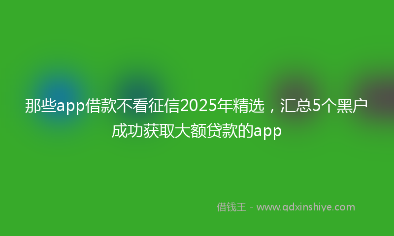 那些app借款不看征信2025年精选，汇总5个黑户成功获取大额贷款的app