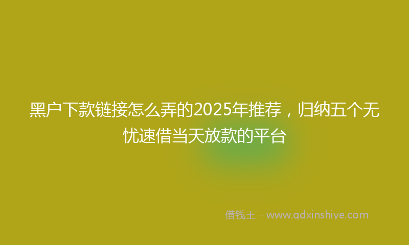 黑户下款链接怎么弄的2025年推荐，归纳五个无忧速借当天放款的平台