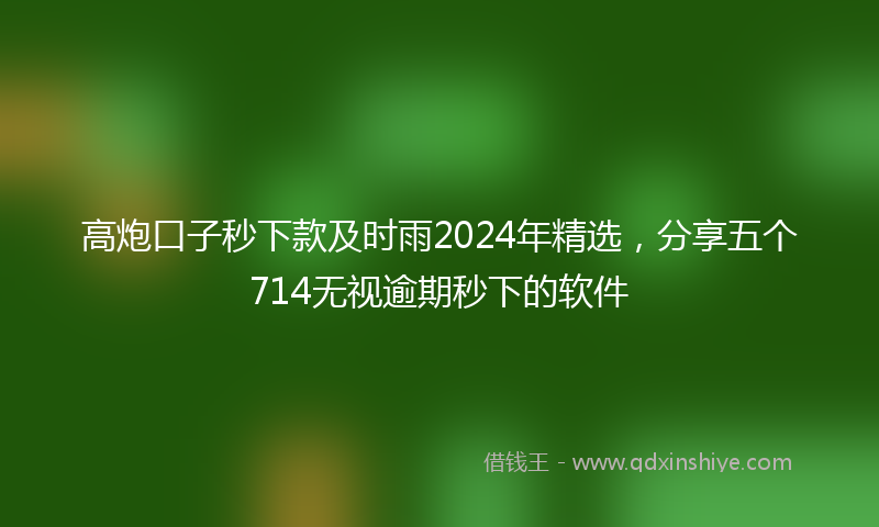 高炮口子秒下款及时雨2024年精选，分享五个714无视逾期秒下的软件