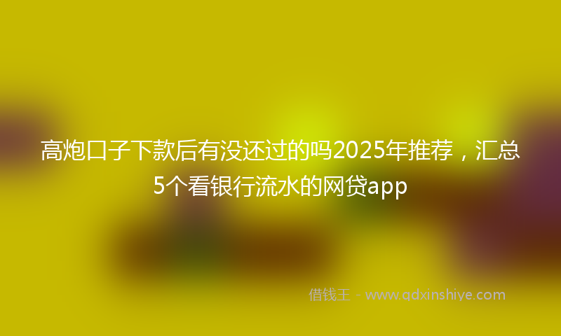 高炮口子下款后有没还过的吗2025年推荐，汇总5个看银行流水的网贷app