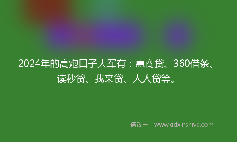 2024年的高炮口子大军有：惠商贷、360借条、读秒贷、我来贷、人人贷等。