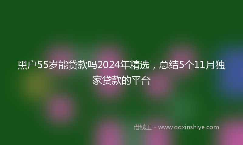 黑户55岁能贷款吗2024年精选，总结5个11月独家贷款的平台