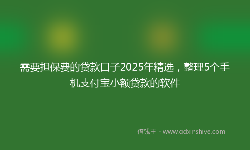 需要担保费的贷款口子2025年精选，整理5个手机支付宝小额贷款的软件