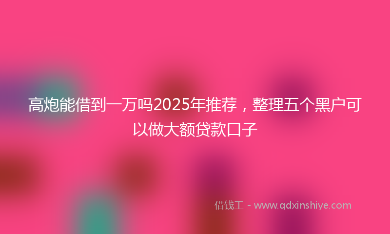 高炮能借到一万吗2025年推荐，整理五个黑户可以做大额贷款口子
