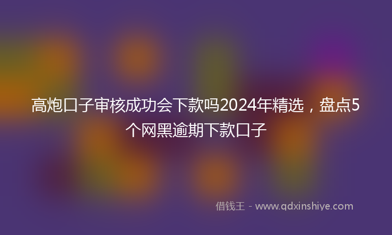 高炮口子审核成功会下款吗2024年精选，盘点5个网黑逾期下款口子