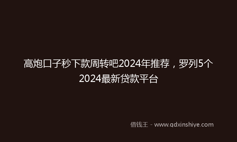 高炮口子秒下款周转吧2024年推荐，罗列5个2024最新贷款平台