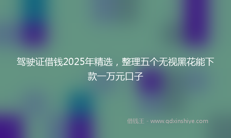 驾驶证借钱2025年精选，整理五个无视黑花能下款一万元口子