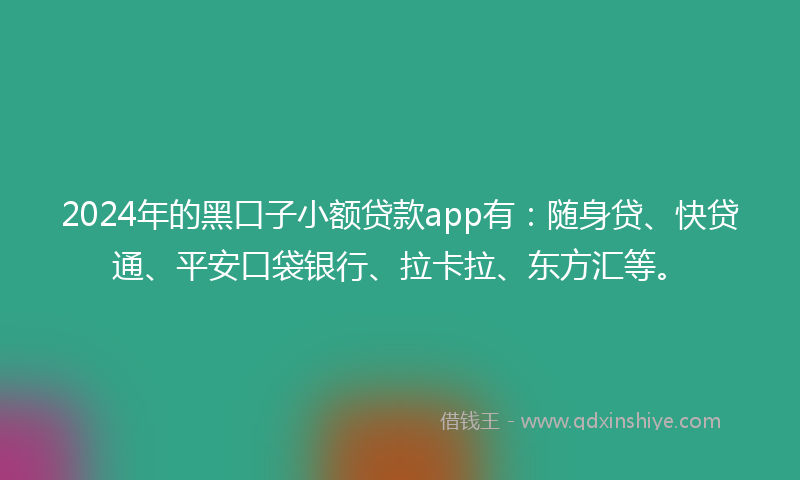 2024年的黑口子小额贷款app有：随身贷、快贷通、平安口袋银行、拉卡拉、东方汇等。