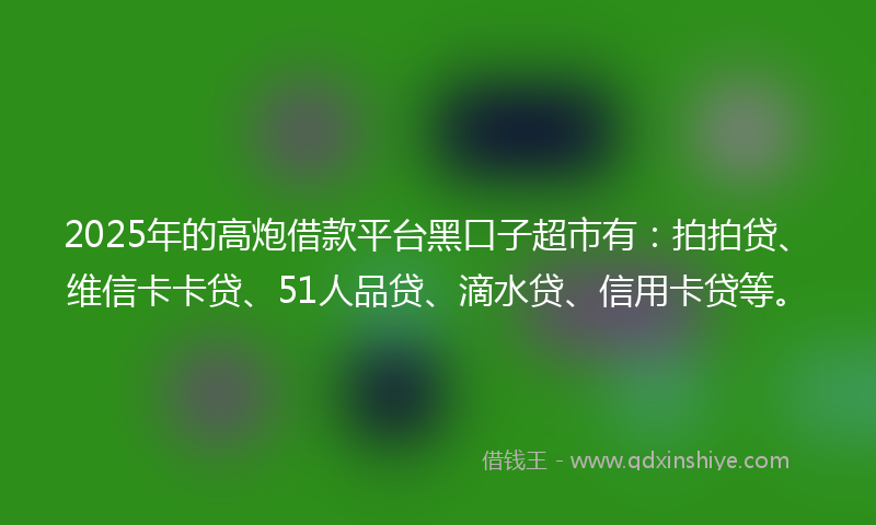 2025年的高炮借款平台黑口子超市有：拍拍贷、维信卡卡贷、51人品贷、滴水贷、信用卡贷等。