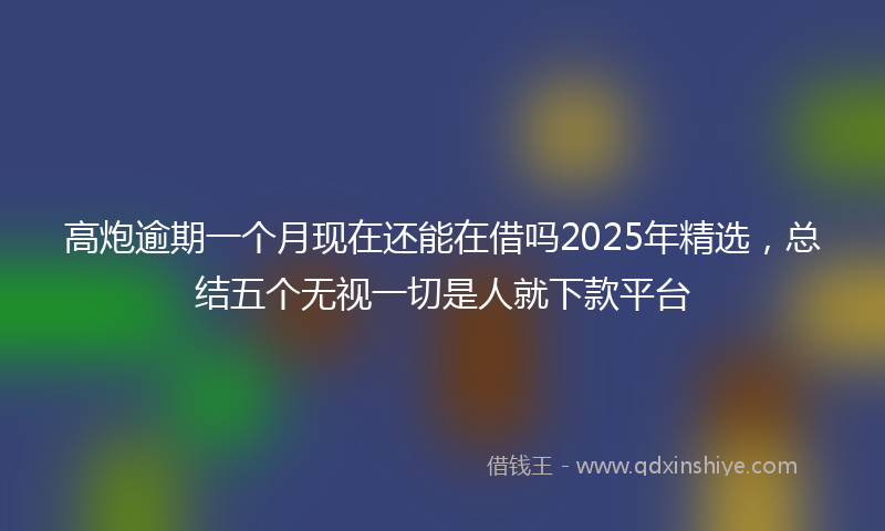 高炮逾期一个月现在还能在借吗2025年精选，总结五个无视一切是人就下款平台
