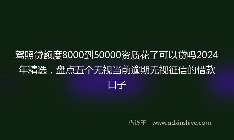 驾照贷额度8000到50000资质花了可以贷吗2024年精选，盘点五个无视当前逾期无视征信的借款口子