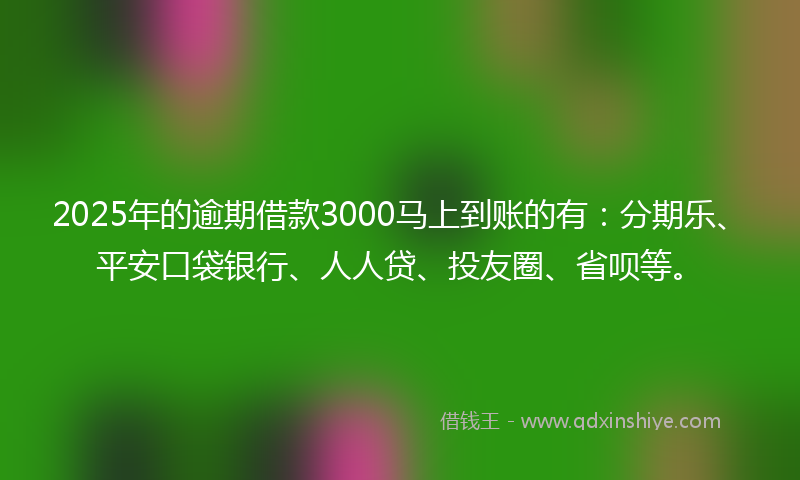 2025年的逾期借款3000马上到账的有：分期乐、平安口袋银行、人人贷、投友圈、省呗等。