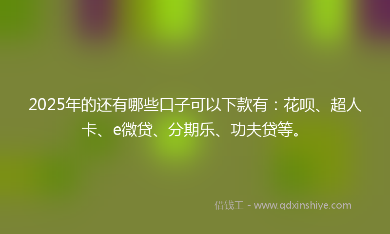 2025年的还有哪些口子可以下款有：花呗、超人卡、e微贷、分期乐、功夫贷等。