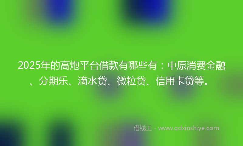 2025年的高炮平台借款有哪些有：中原消费金融、分期乐、滴水贷、微粒贷、信用卡贷等。