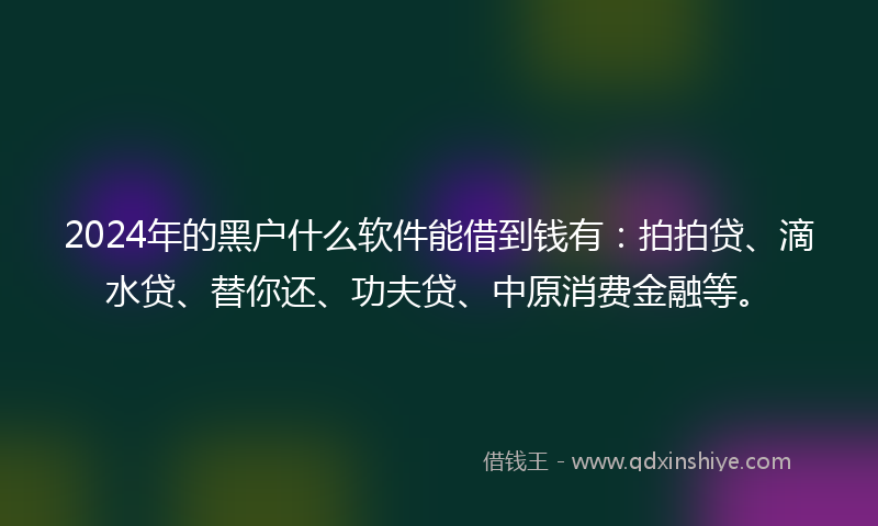 2024年的黑户什么软件能借到钱有：拍拍贷、滴水贷、替你还、功夫贷、中原消费金融等。