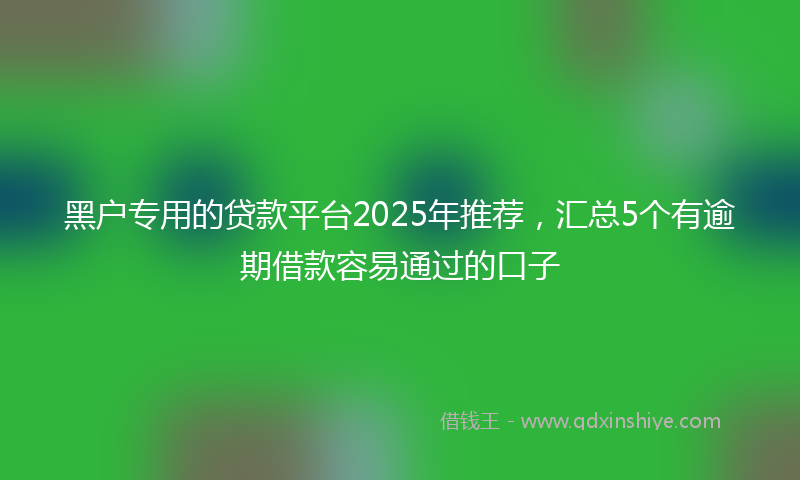 黑户专用的贷款平台2025年推荐，汇总5个有逾期借款容易通过的口子