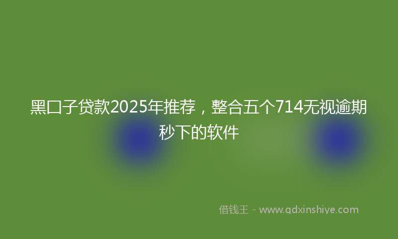 黑囗子贷款2025年推荐，整合五个714无视逾期秒下的软件