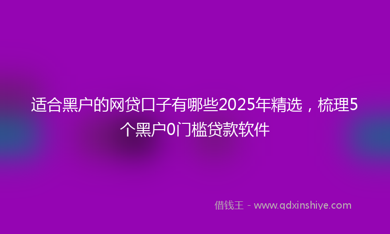 适合黑户的网贷口子有哪些2025年精选，梳理5个黑户0门槛贷款软件