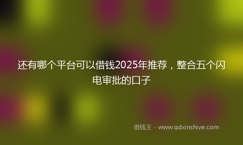 还有哪个平台可以借钱2025年推荐，整合五个闪电审批的口子