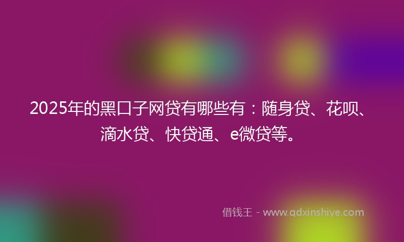 2025年的黑口子网贷有哪些有：随身贷、花呗、滴水贷、快贷通、e微贷等。