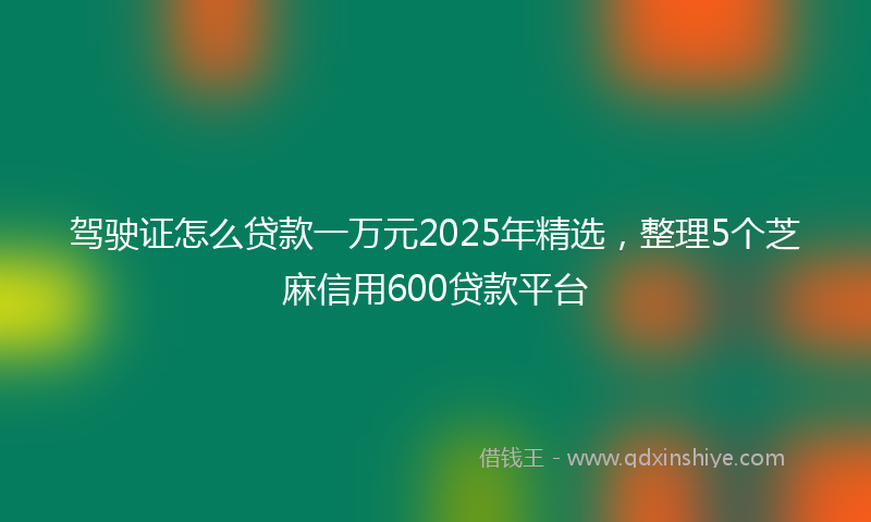 驾驶证怎么贷款一万元2025年精选，整理5个芝麻信用600贷款平台