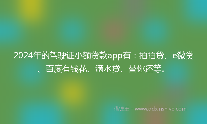 2024年的驾驶证小额贷款app有：拍拍贷、e微贷、百度有钱花、滴水贷、替你还等。