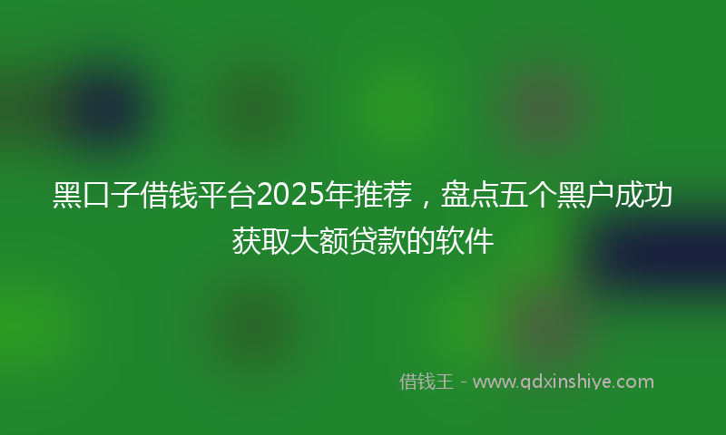 黑口子借钱平台2025年推荐，盘点五个黑户成功获取大额贷款的软件