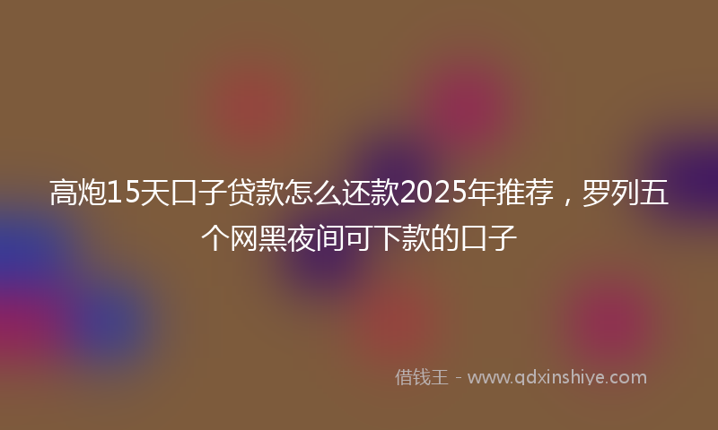 高炮15天口子贷款怎么还款2025年推荐，罗列五个网黑夜间可下款的口子