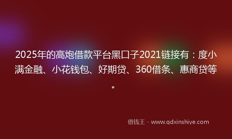 2025年的高炮借款平台黑口子2021链接有：度小满金融、小花钱包、好期贷、360借条、惠商贷等。