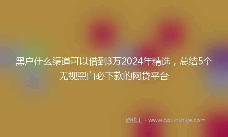 黑户什么渠道可以借到3万2024年精选，总结5个无视黑白必下款的网贷平台