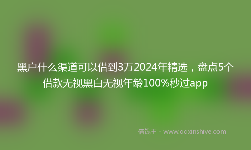 黑户什么渠道可以借到3万2024年精选，盘点5个借款无视黑白无视年龄100%秒过app