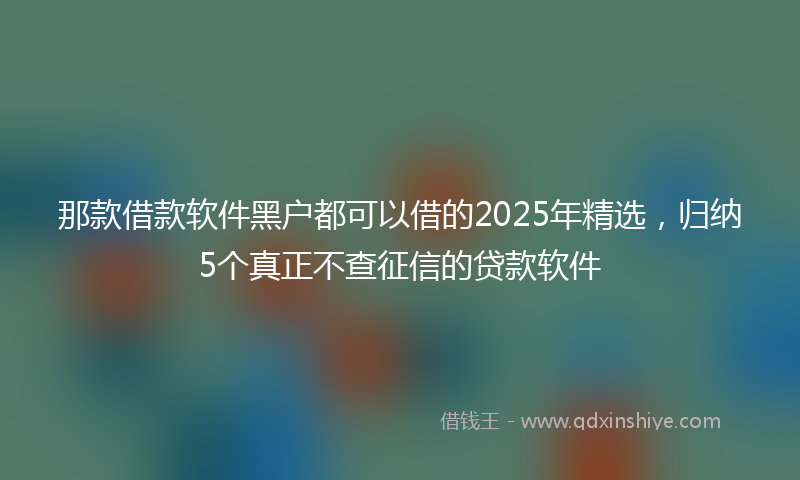 那款借款软件黑户都可以借的2025年精选，归纳5个真正不查征信的贷款软件