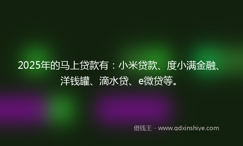 2025年的马上贷款有：小米贷款、度小满金融、洋钱罐、滴水贷、e微贷等。