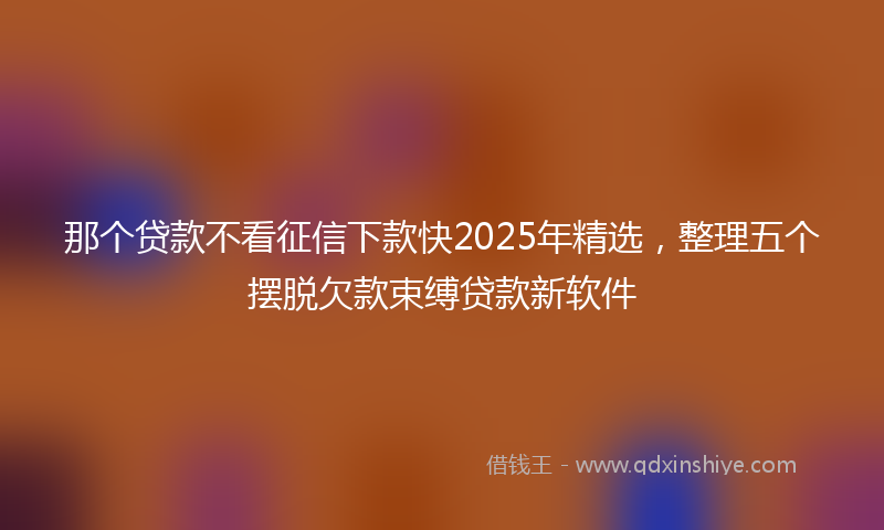 那个贷款不看征信下款快2025年精选，整理五个摆脱欠款束缚贷款新软件