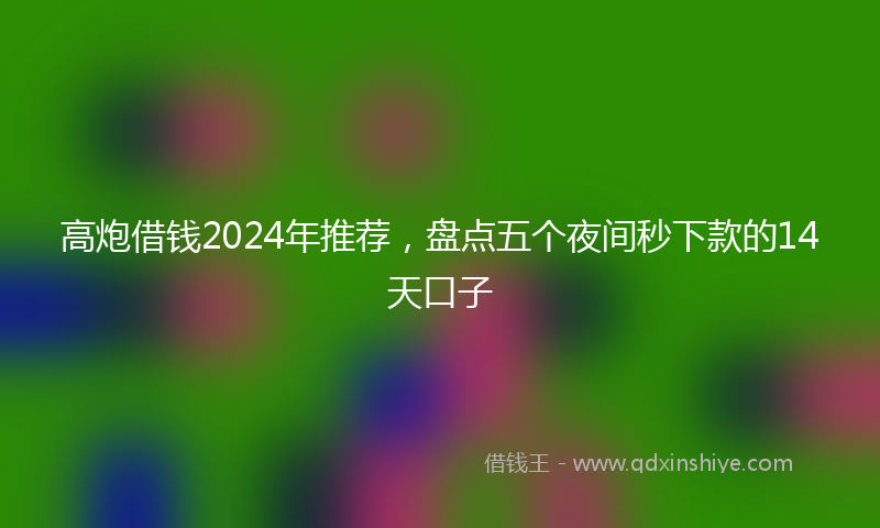 高炮借钱2024年推荐，盘点五个夜间秒下款的14天口子