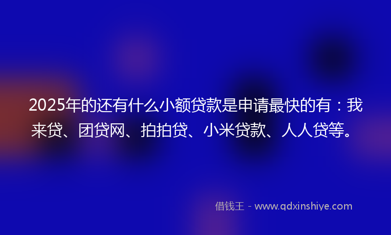 2025年的还有什么小额贷款是申请最快的有：我来贷、团贷网、拍拍贷、小米贷款、人人贷等。