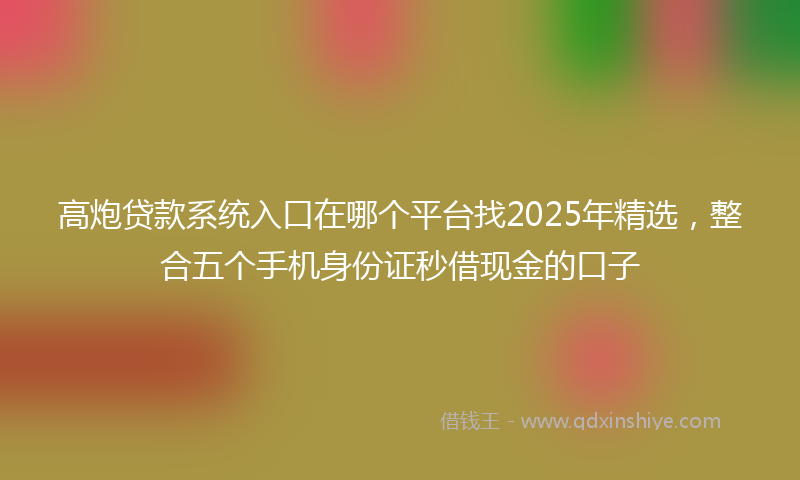 高炮贷款系统入口在哪个平台找2025年精选，整合五个手机身份证秒借现金的口子