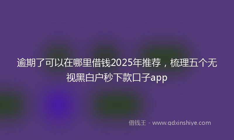 逾期了可以在哪里借钱2025年推荐，梳理五个无视黑白户秒下款口子app