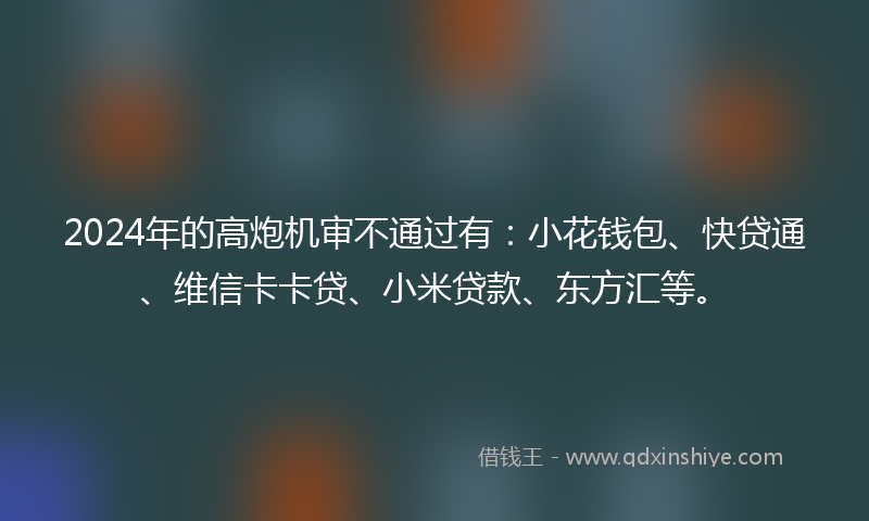 2024年的高炮机审不通过有：小花钱包、快贷通、维信卡卡贷、小米贷款、东方汇等。