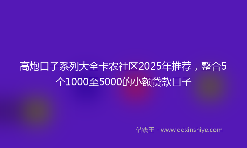 高炮口子系列大全卡农社区2025年推荐，整合5个1000至5000的小额贷款口子