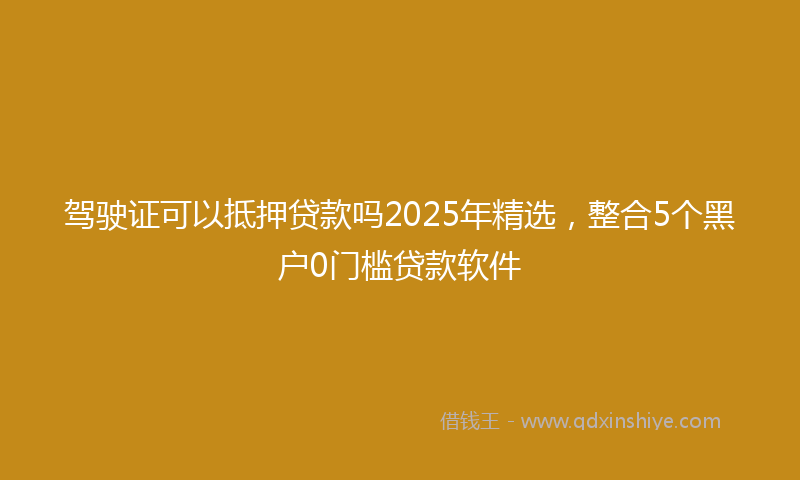 驾驶证可以抵押贷款吗2025年精选，整合5个黑户0门槛贷款软件