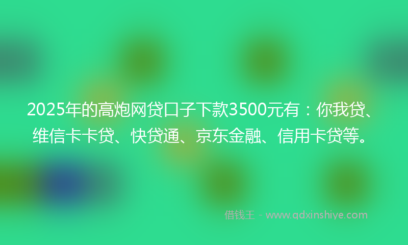2025年的高炮网贷口子下款3500元有：你我贷、维信卡卡贷、快贷通、京东金融、信用卡贷等。