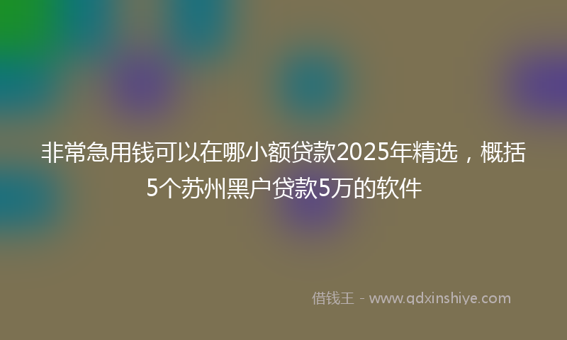 非常急用钱可以在哪小额贷款2025年精选，概括5个苏州黑户贷款5万的软件