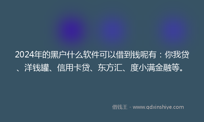 2024年的黑户什么软件可以借到钱呢有：你我贷、洋钱罐、信用卡贷、东方汇、度小满金融等。